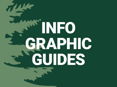 Infographic Guides