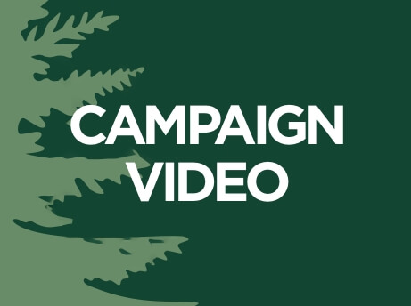 Campaign Video